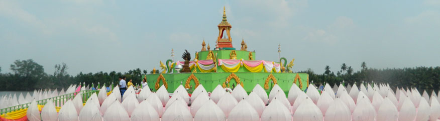 Lotus Display at Wat Saman Rattanaram