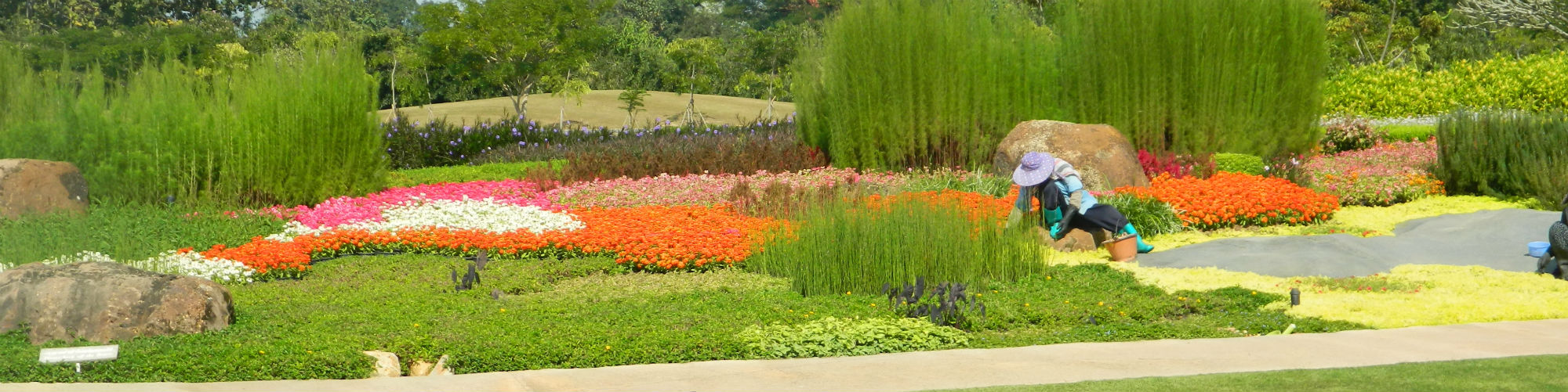 Singha Park, near Chiang Rai