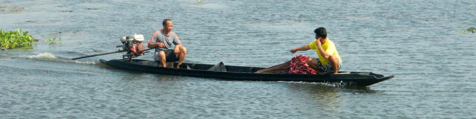 Talay Noi Wetland Area, Phattalung Province