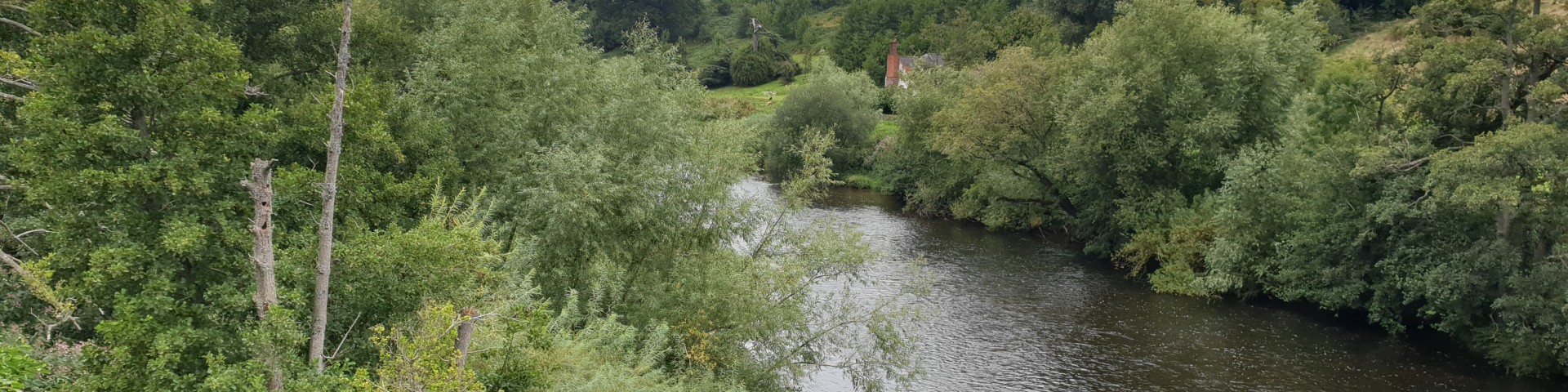 The River Wye at Bridge Sollars