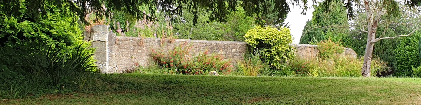 The remains of the old St Peter's Church, Bullinghope near Hereford