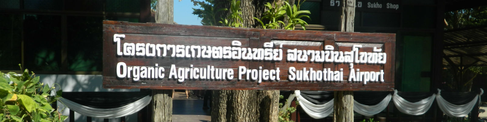 Organic Agricultural Project, Sukhothai Airport, Sukhothai Province