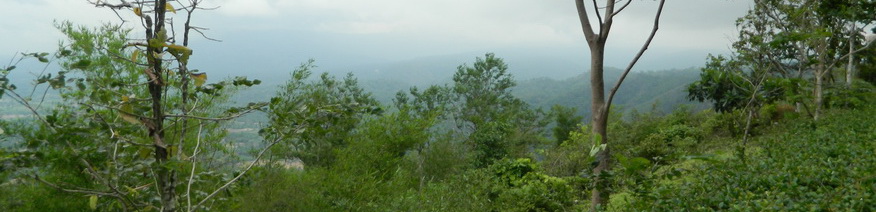 View from Pha Keb Tawan, Wang Nam Khiao District